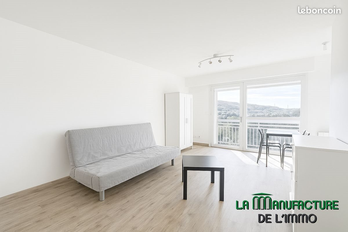 Appartement à louer, 27m², Saint-Etienne