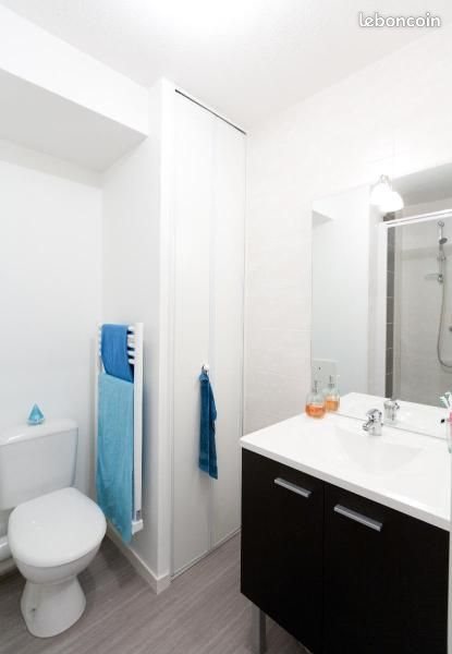 Appartement à louer, 18m², Saint-Martin-le-Vinoux