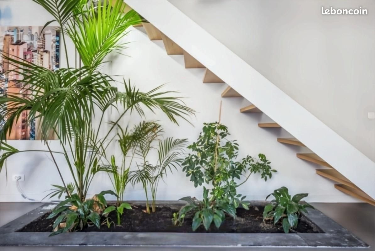 Maison à vendre, 222m², Saint-Maur-des-Fossés