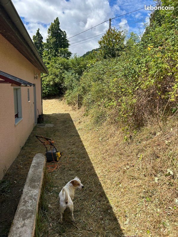 Maison à vendre, 70m², Saint-Vincent-de-Reins