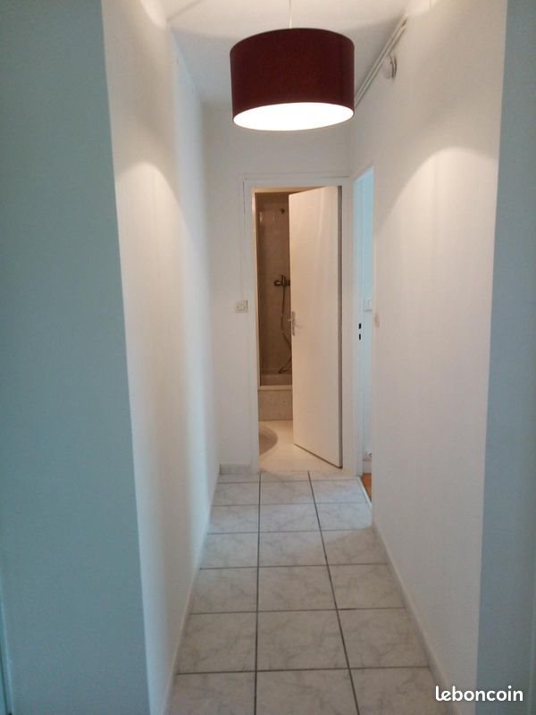 Appartement à louer, 44m², Saint-Etienne