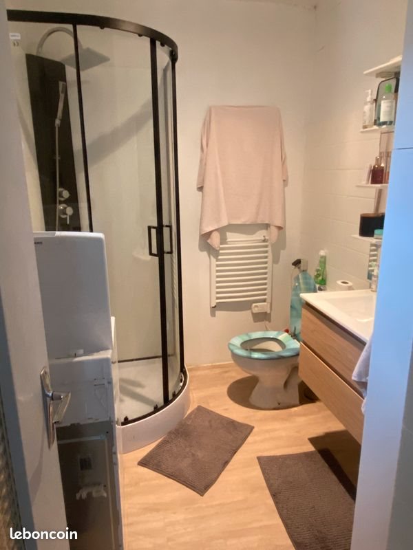 Appartement à louer, 37m², Feurs