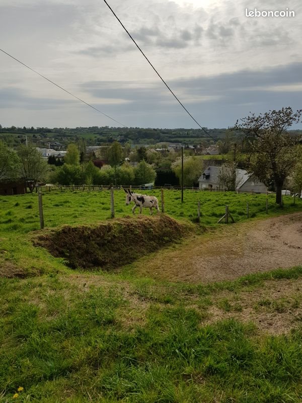 Maison à louer, 150m², Beuvillers