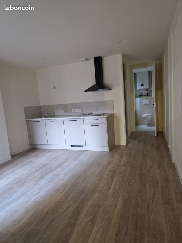 Appartement à louer, 22m², Saint-Etienne