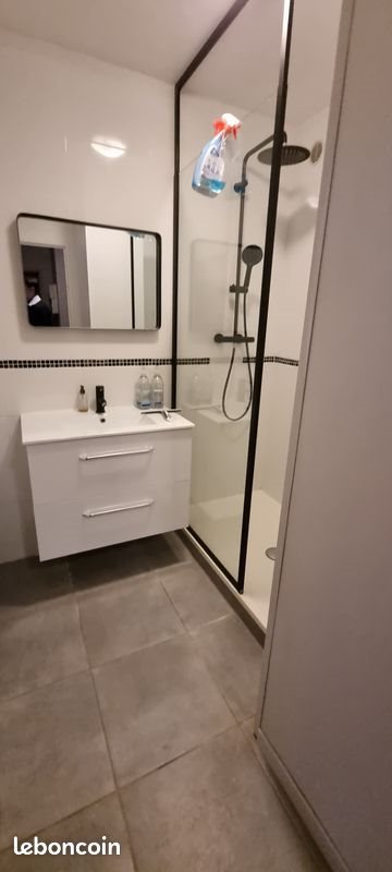 Appartement à louer, 48m², Lille