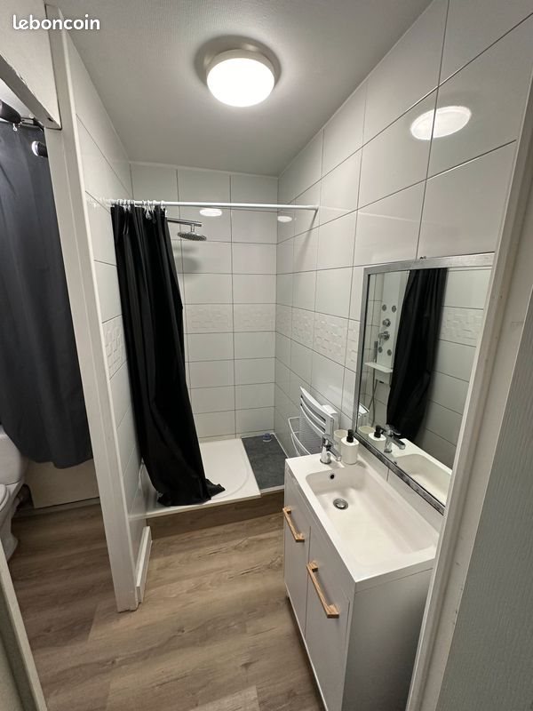 Appartement à louer, 43m², Saint-Etienne