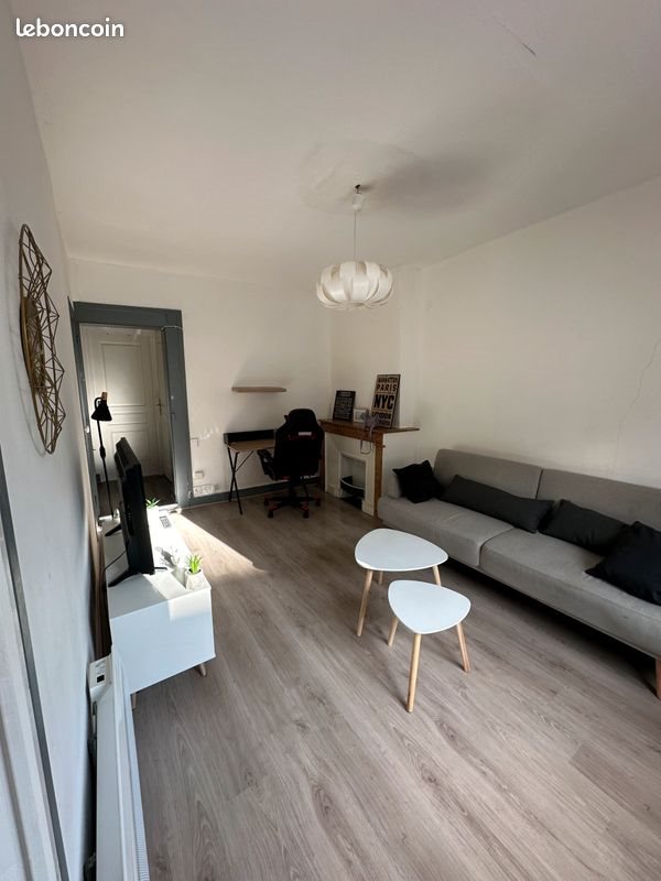 Appartement à louer, 43m², Saint-Etienne