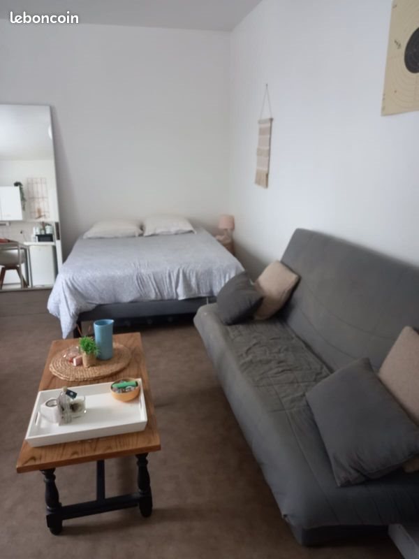 Appartement à louer, 26m², Angers