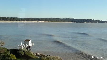 Appartement à louer, 40m², Saint-Georges-de-Didonne