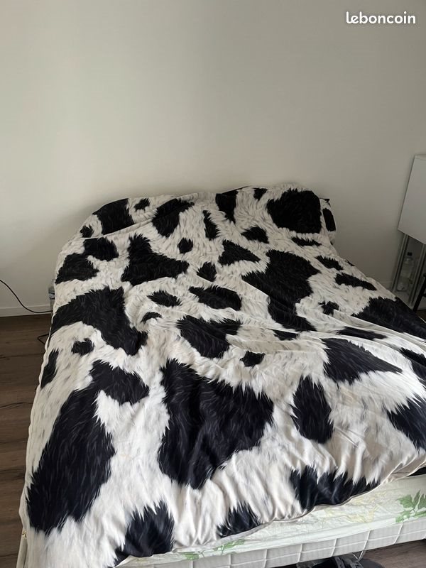 Appartement à louer, 20m², Rouen