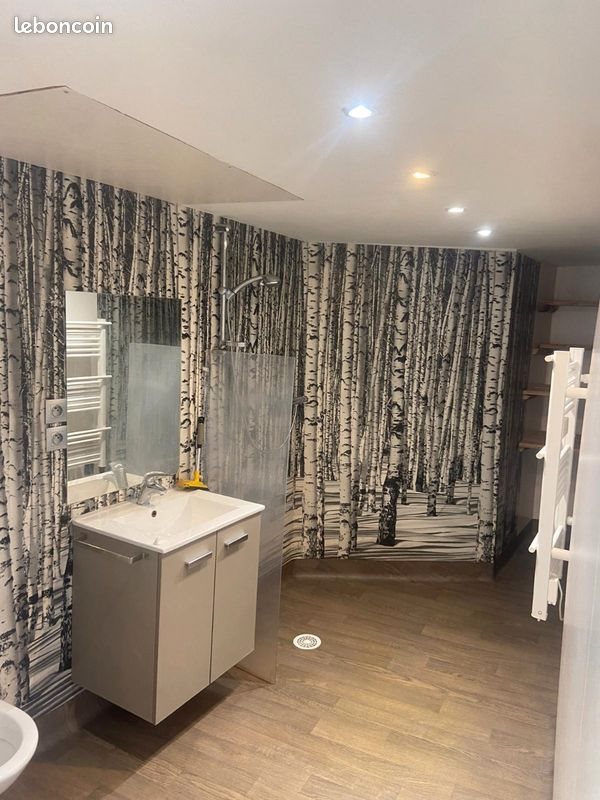 Appartement à vendre, 40m², Saint-Etienne