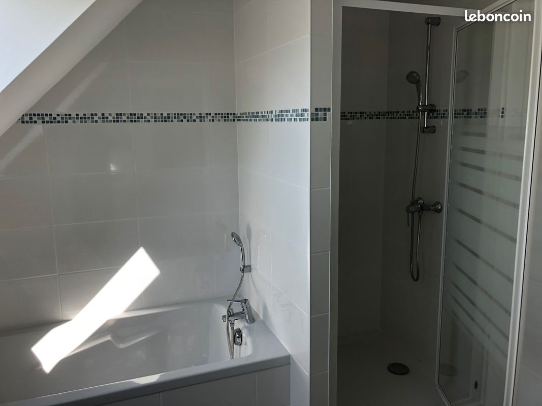 Maison à louer, 249m², Ploufragan