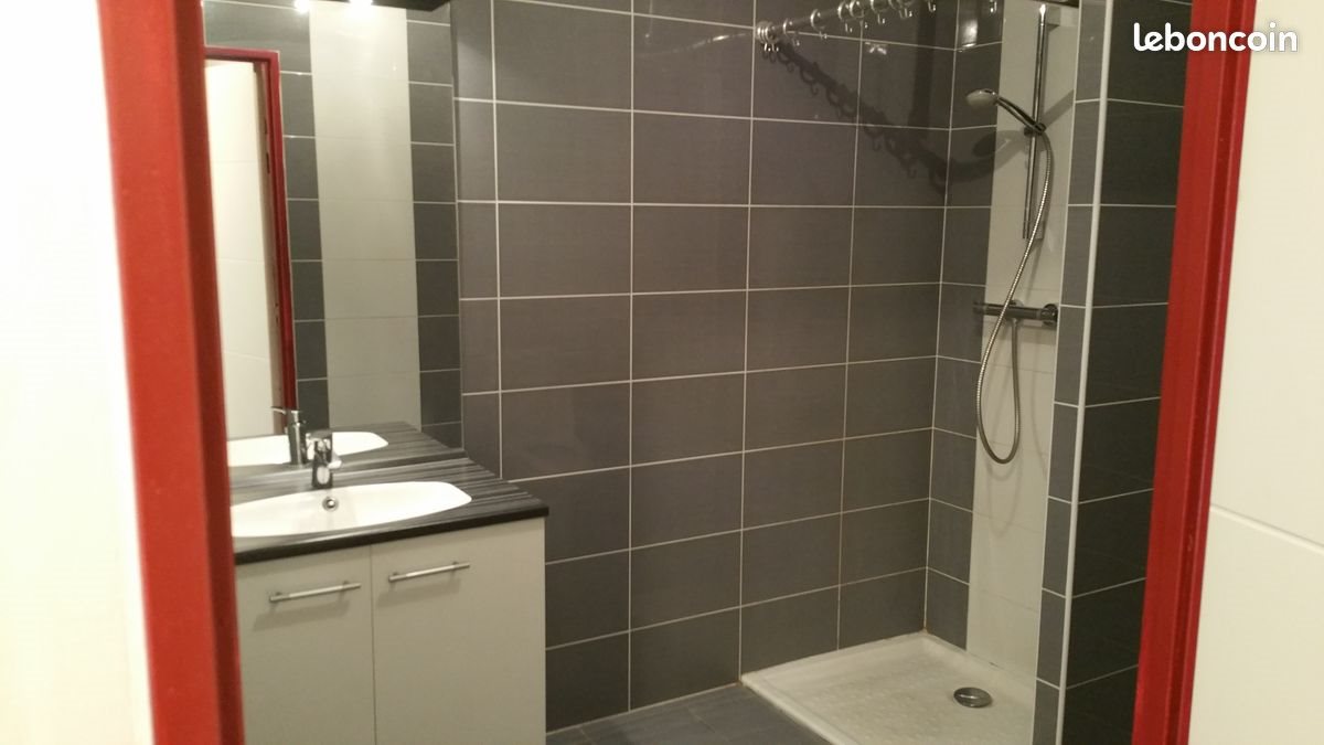 Appartement à vendre, 47m², Saint-Etienne