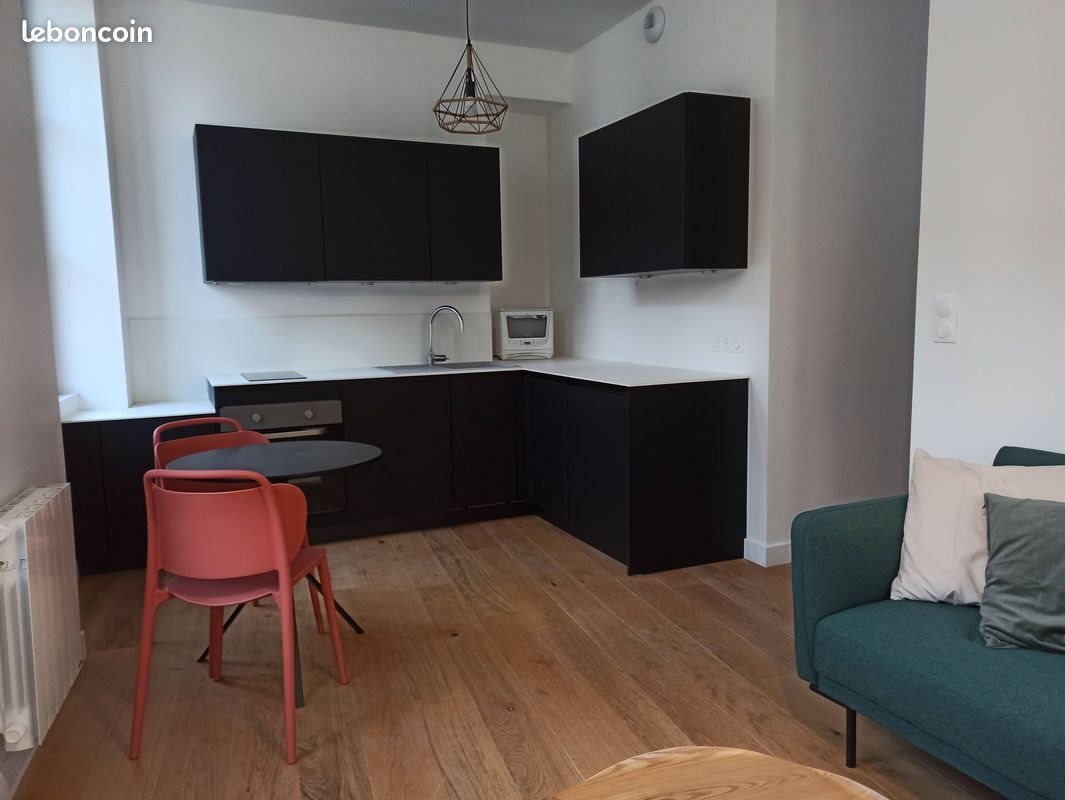 Appartement à louer, 37m², Lyon 1er