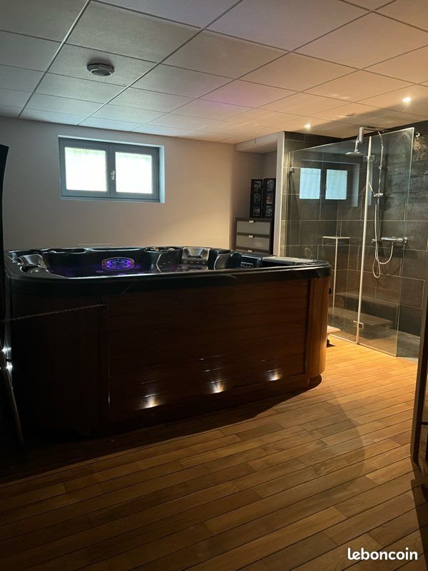 Maison à vendre, 250m², La Talaudière