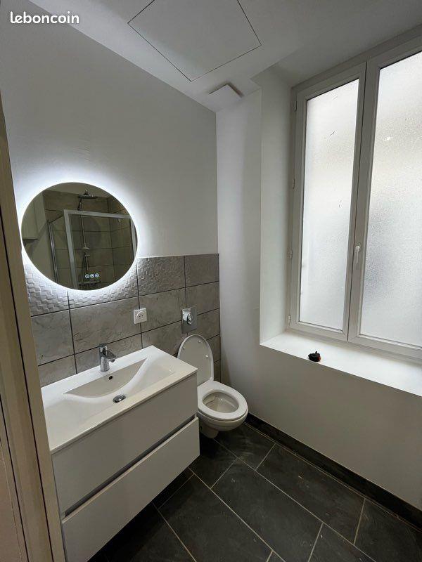 Appartement à louer, 49m², Saint-Etienne