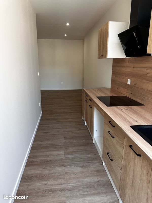 Appartement à louer, 50m², Saint-Etienne