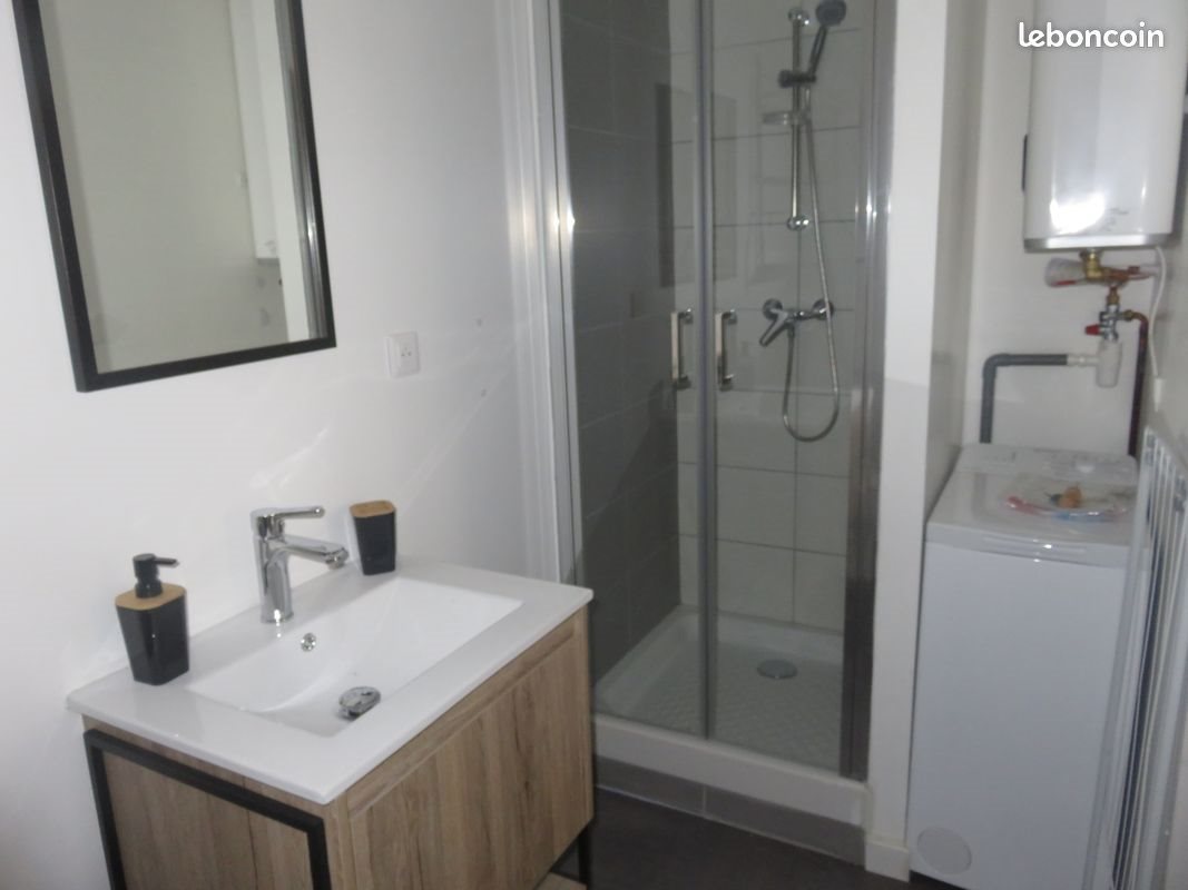 Appartement à louer, 25m², Saint-Etienne