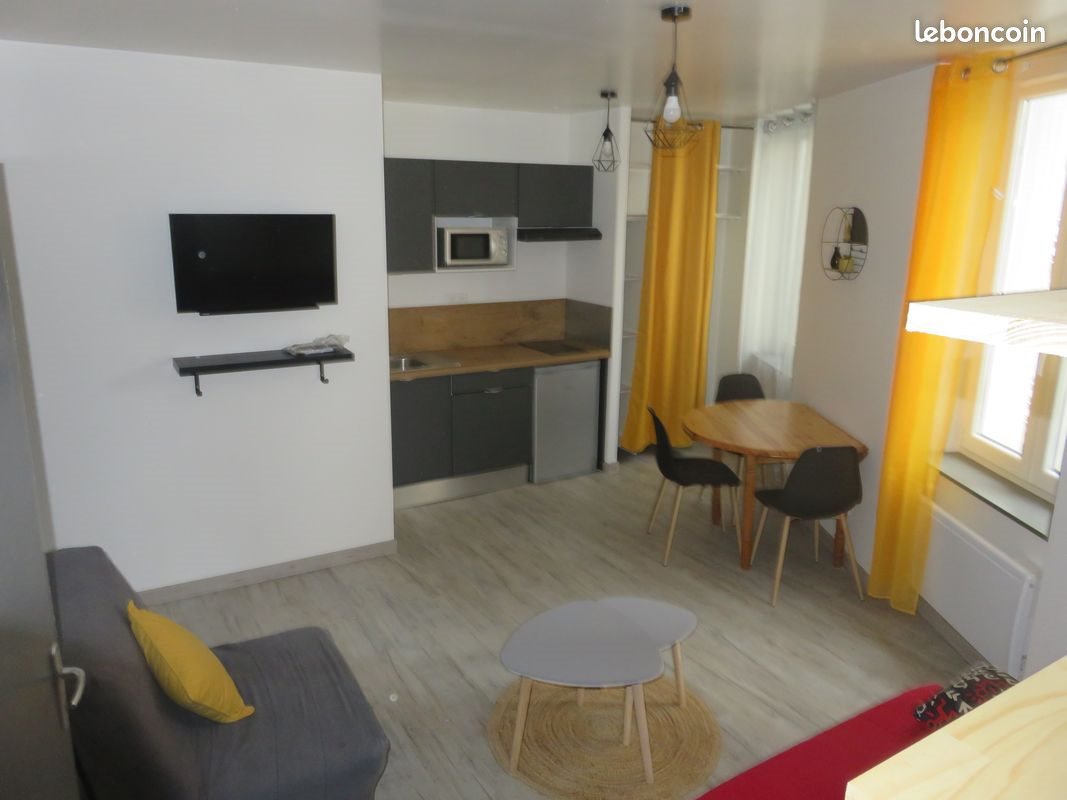 Appartement à louer, 25m², Saint-Etienne
