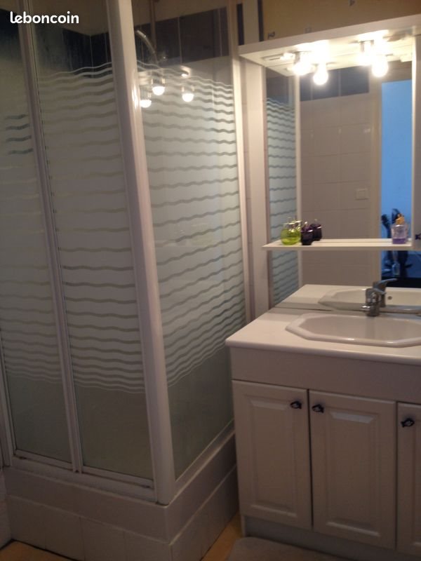 Appartement à louer, 45m², Le Mans