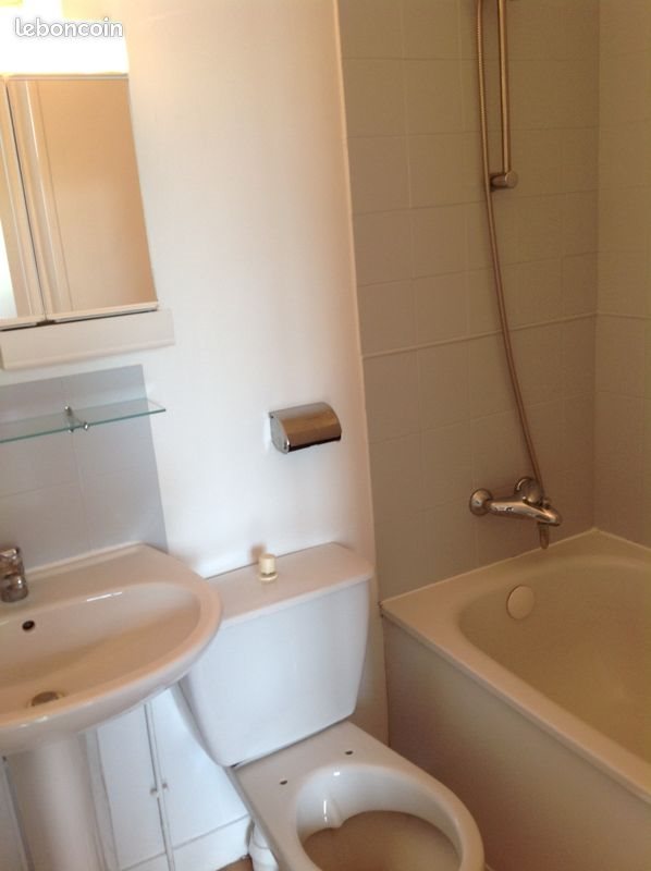 Appartement à louer, 20m², Reims