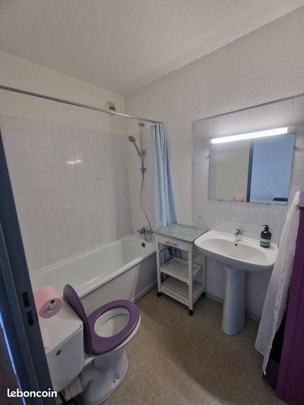 Appartement à louer, 21m², Corte