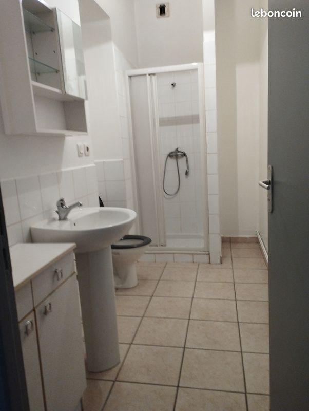 Appartement à louer, 45m², Saint-Etienne