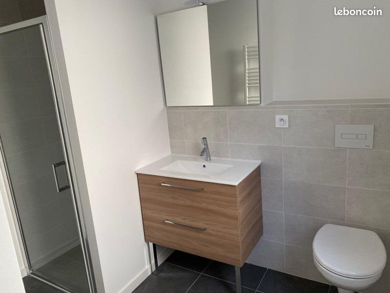 Appartement à louer, 50m², Saint-Etienne