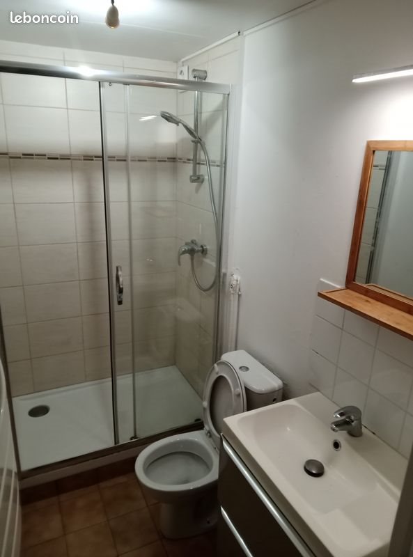 Appartement à louer, 50m², Beaurepaire
