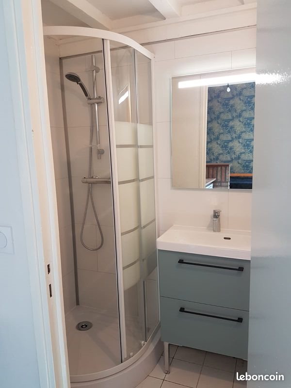 Appartement à louer, 20m², Lille