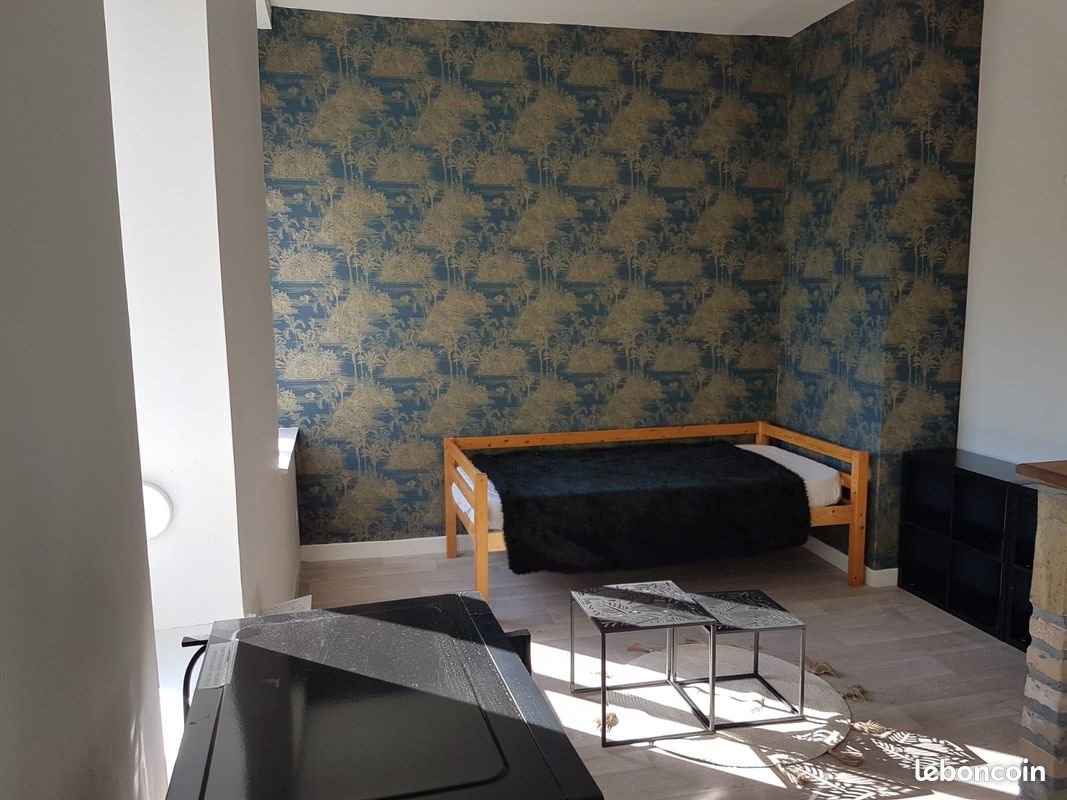 Appartement à louer, 20m², Lille