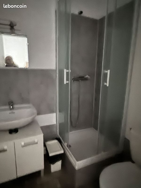 Appartement à louer, 17m², Brest