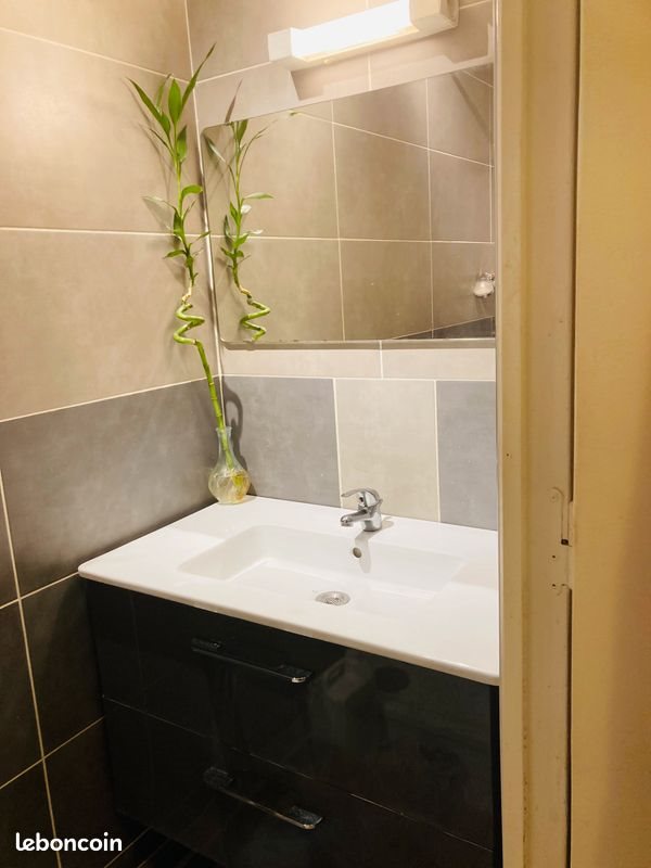 Appartement à louer, 25m², Toulouse