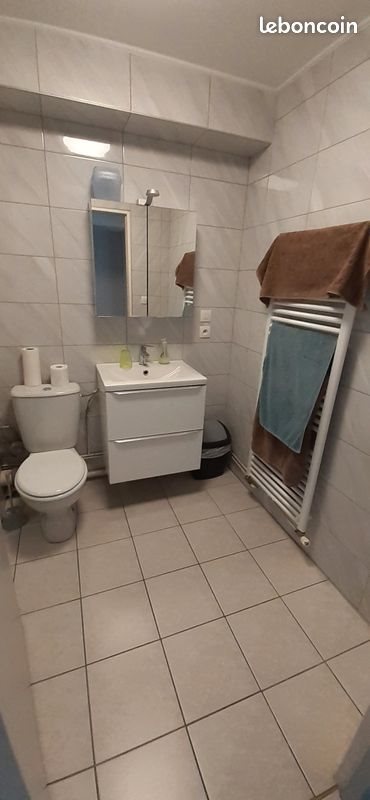 Appartement à louer, 58m², Ensisheim