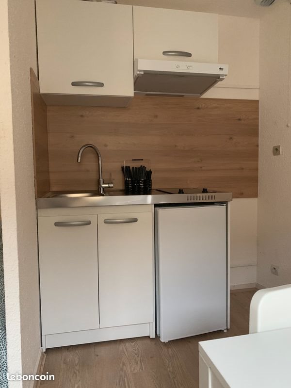 Appartement à louer, 28m², Saint-Etienne