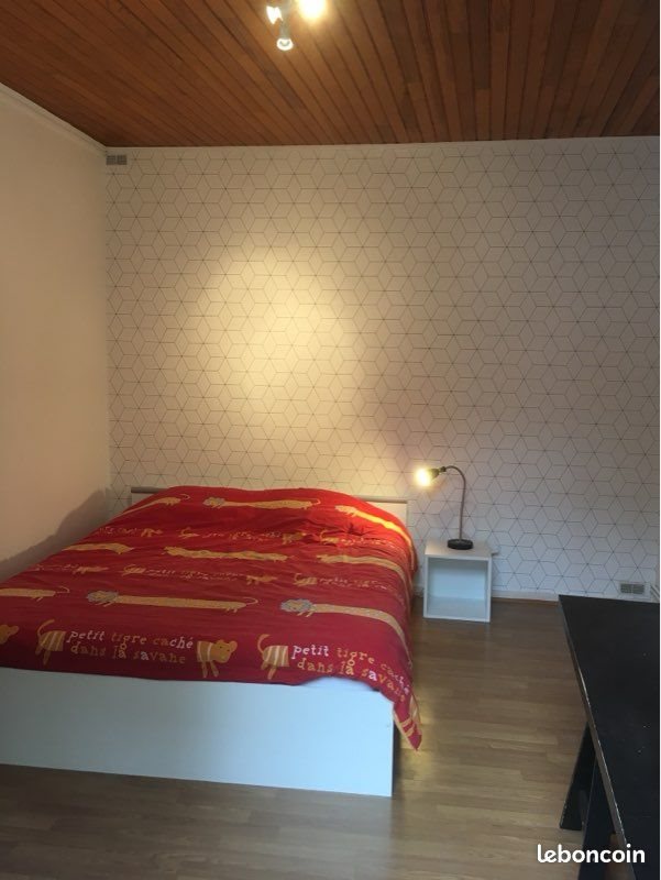 Appartement à louer, 52m², Saint-Etienne