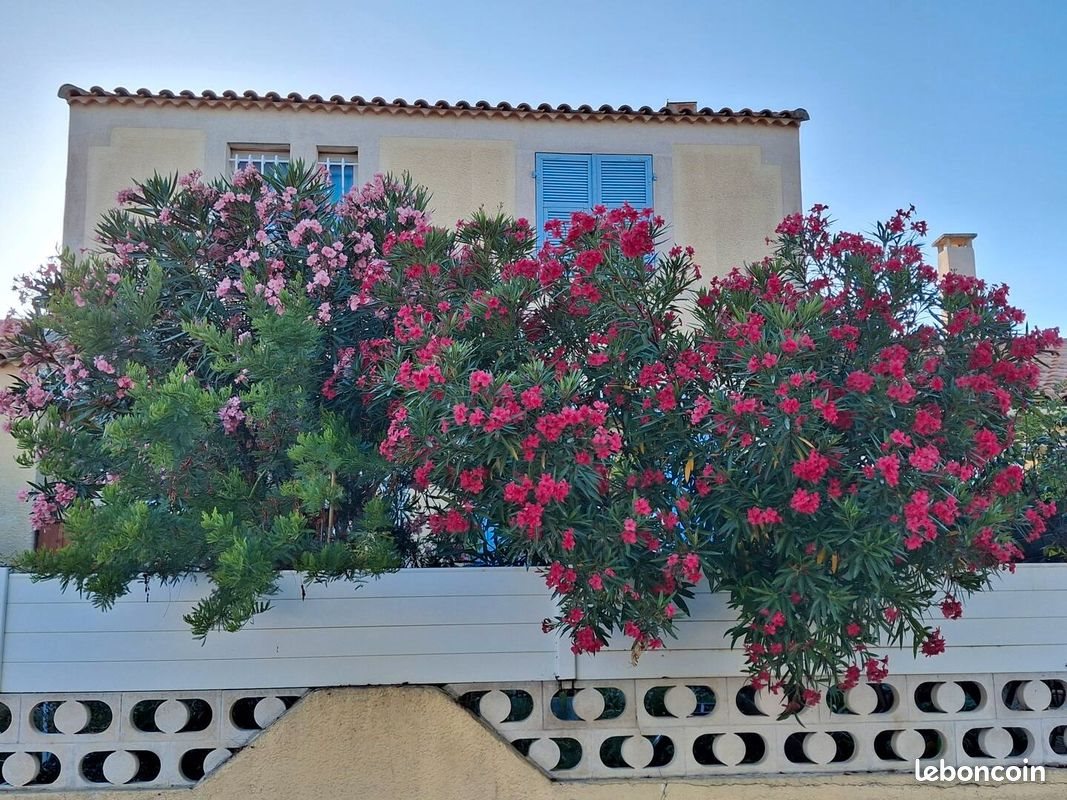 Maison à louer, 110m², Villeneuve-lès-Maguelone