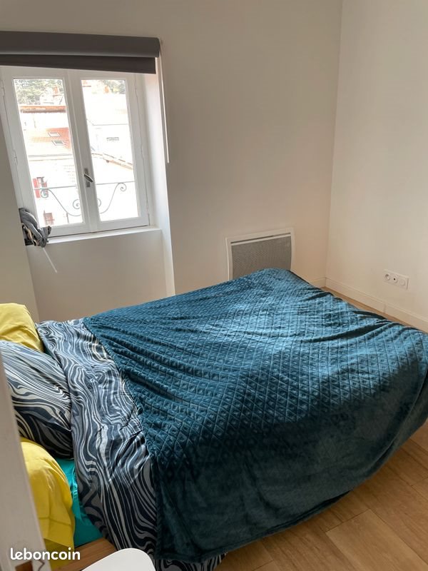 Appartement à louer, 30m², Saint-Etienne