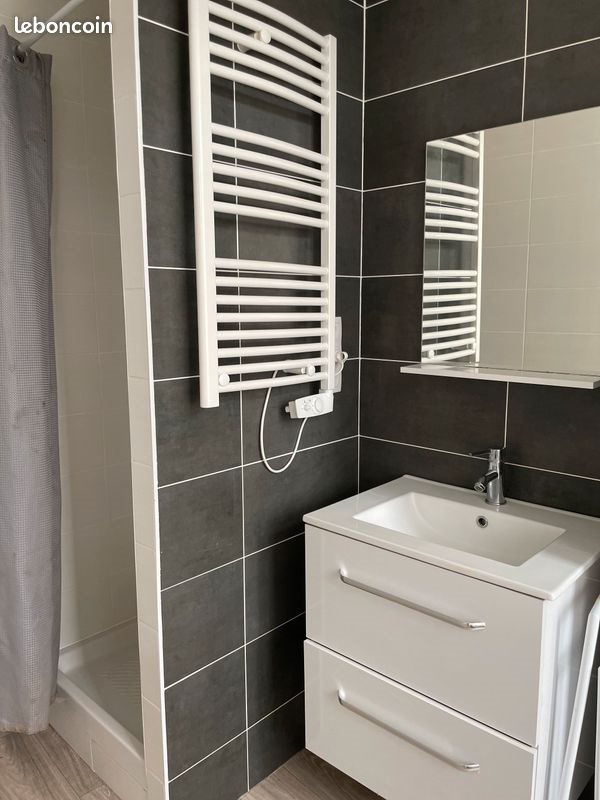 Appartement à louer, 38m², Lille