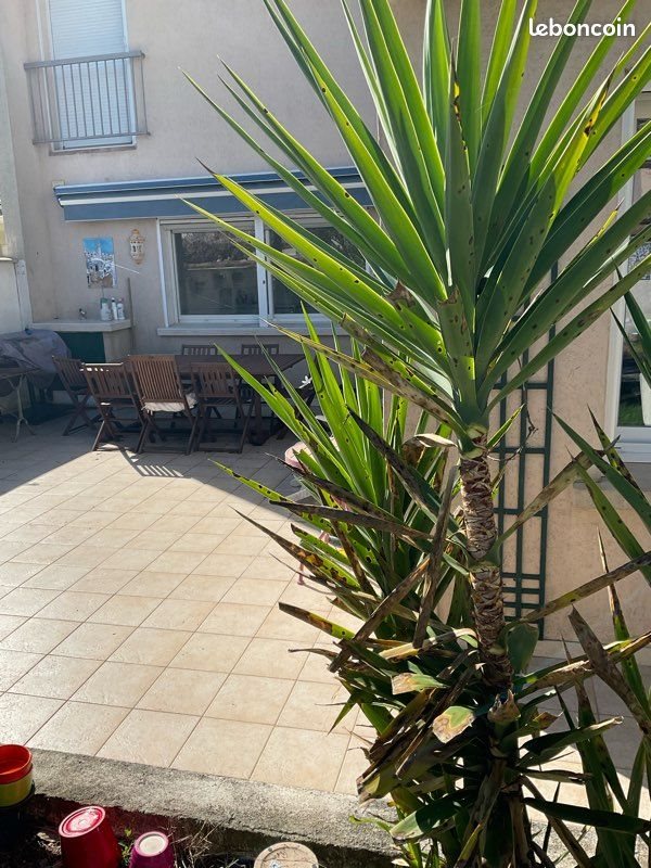 Maison à vendre, 144m², Le Crès