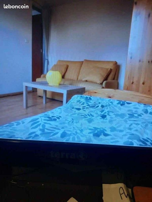 Appartement à louer, 24m², Ottmarsheim