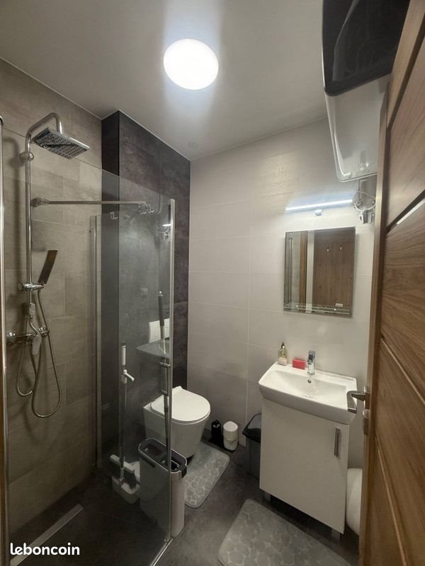 Appartement à louer, 41m², Lyon 6ème