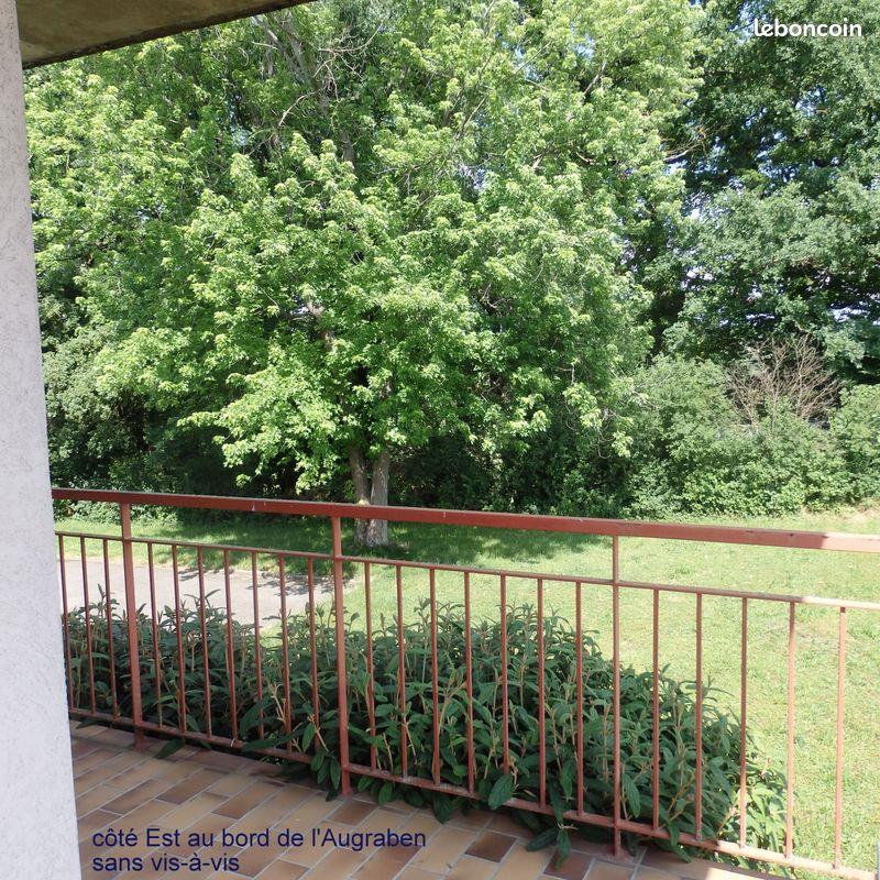 Appartement à louer, 73m², Kembs