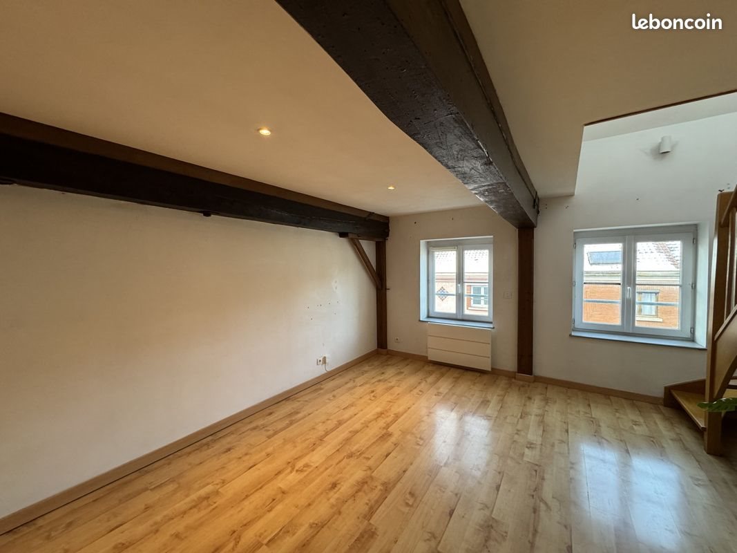 Appartement à louer, 48m², Lille