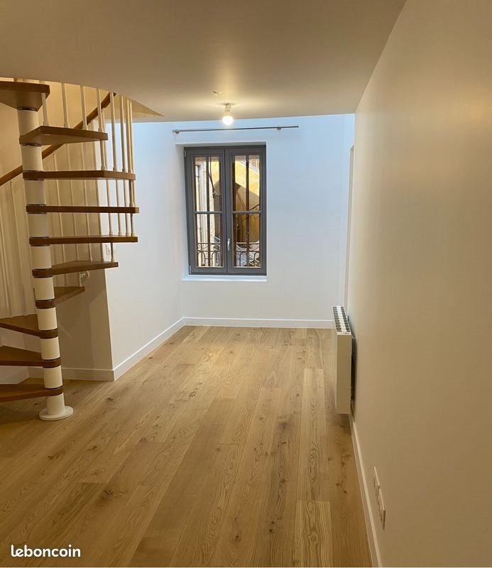 Appartement à louer, 45m², Lyon 1er