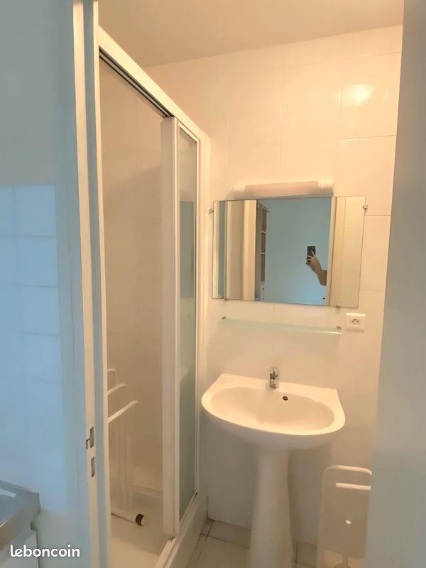 Appartement à louer, 12m², Angers