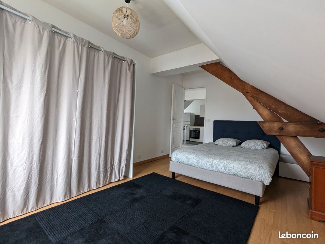 Appartement à louer, 50m², Le Mans