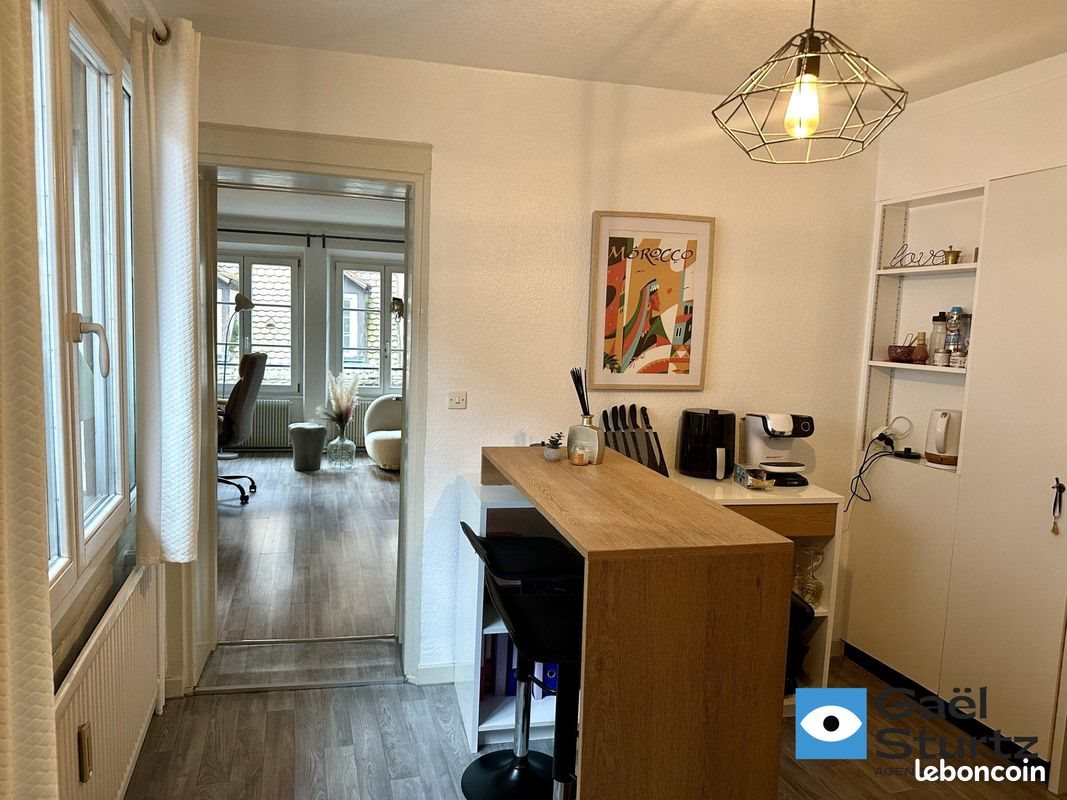 Appartement à vendre, 37m², Strasbourg