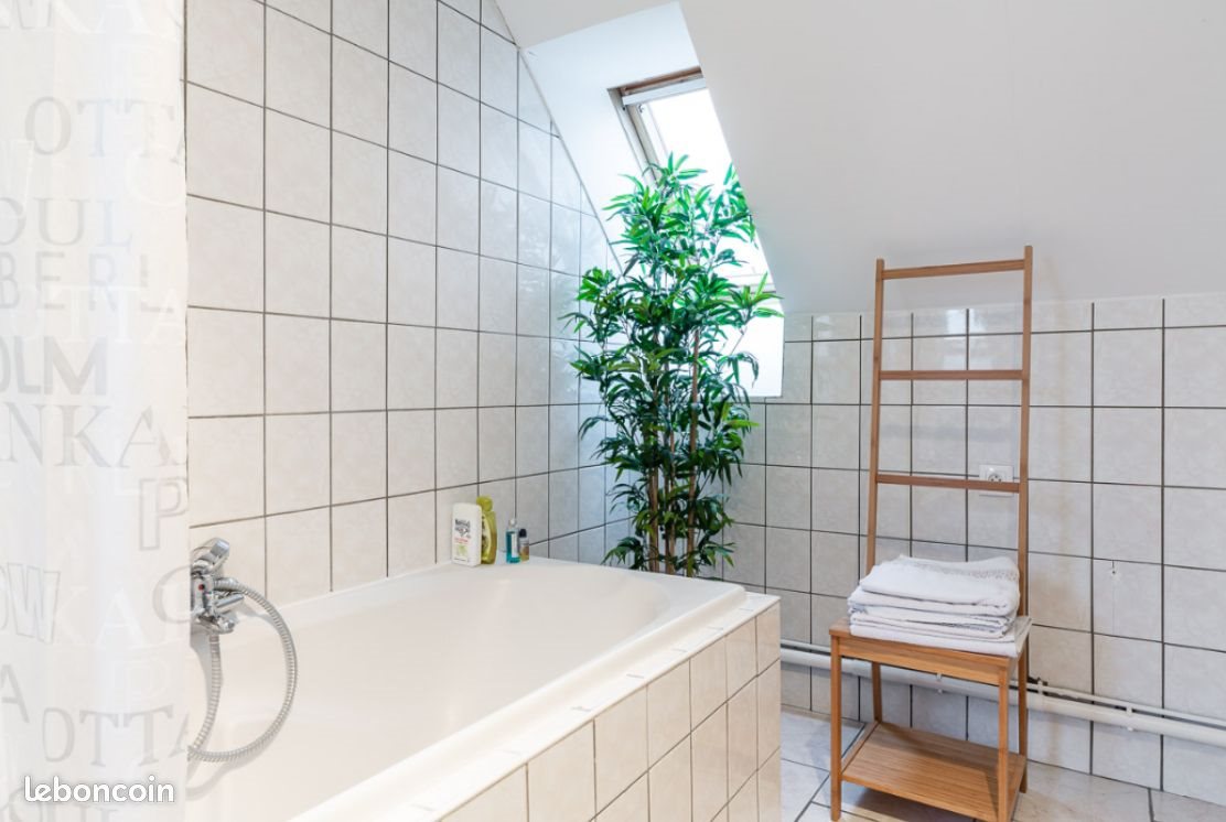 Appartement à louer, 60m², Strasbourg