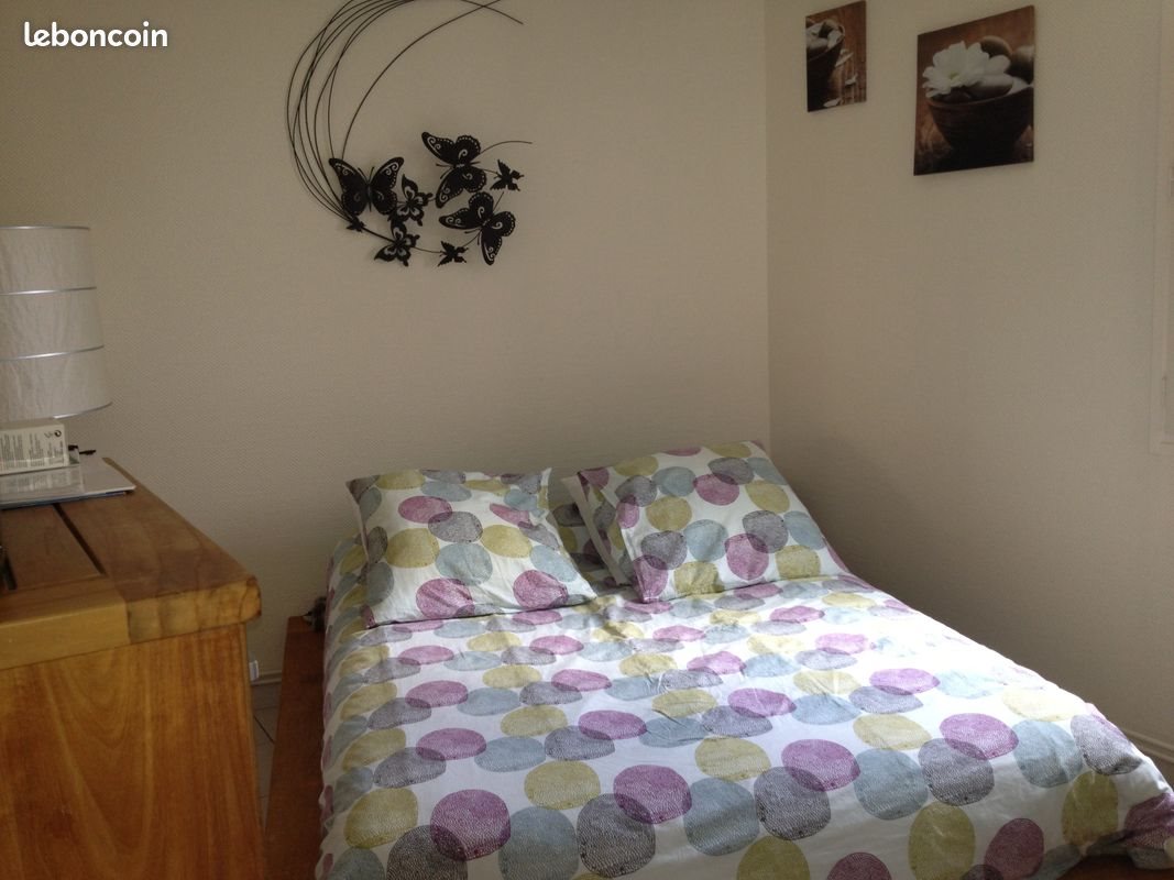 Appartement à louer, 40m², Firminy